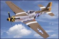 BK# P-51 JANIE ARF Servo, ESC, BL