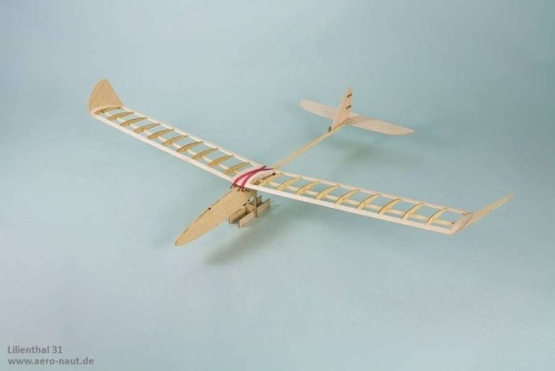Lilienthal 31 ideal für Beginner