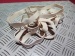 GUMMIRING 80 X 6 X 1 mm*weiß