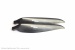 Cam Carbon Props 10 x4 Zoll
